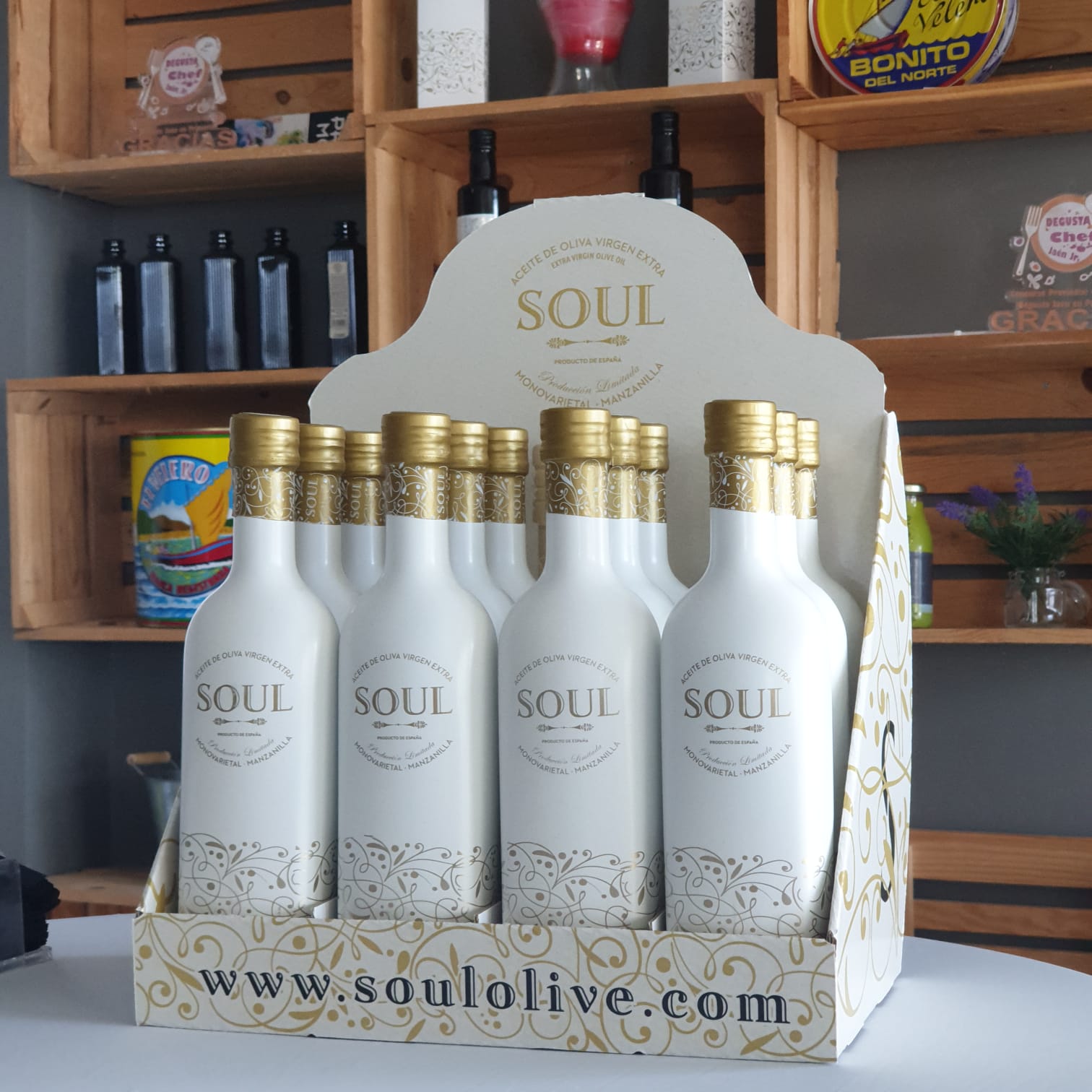 Nuevo Expositor Soul Olive